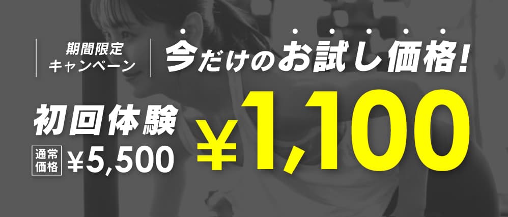 今だけお試し初回価格バナー